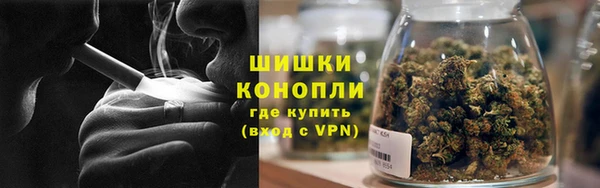 a pvp Магас
