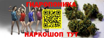 гашиш Гатчина