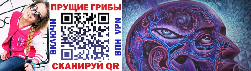 Галлюциногенные грибы Magic Shrooms  Долгопрудный 
